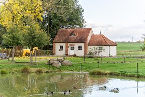 A house with a red-tiled roof, a pond with ducks, and a yellow horse statue.
