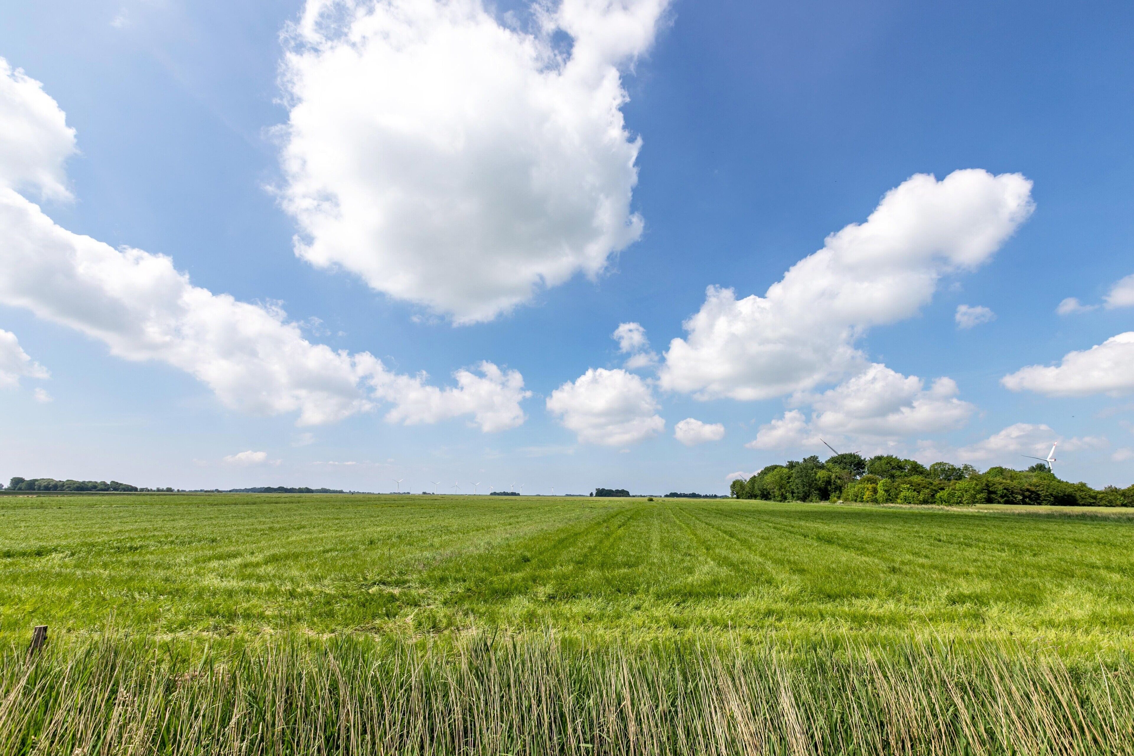A vast green field under a clear blue sky with scattered clouds.