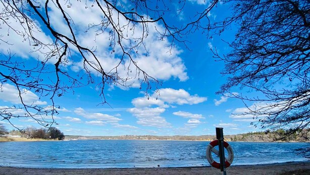 Une bouée de sauvetage fixée à un poteau, près d’un lac, sous un ciel dégagé.