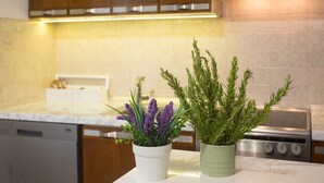 A kitchen with wooden cabinets, a white countertop, and two potted plants. - Top Location Beach & Downtown Split Apartment Park (Split)