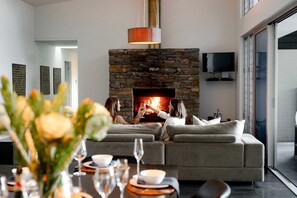 TV, fireplace, video games, DVD player