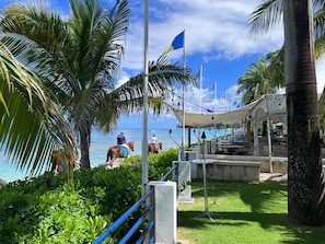 Apartment | Property grounds - Sungazer- Beach Club Apartment in Holetown (Holetown)