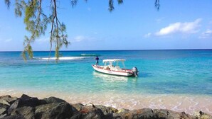 Apartment | Beach - Sungazer- Beach Club Apartment in Holetown (Holetown)
