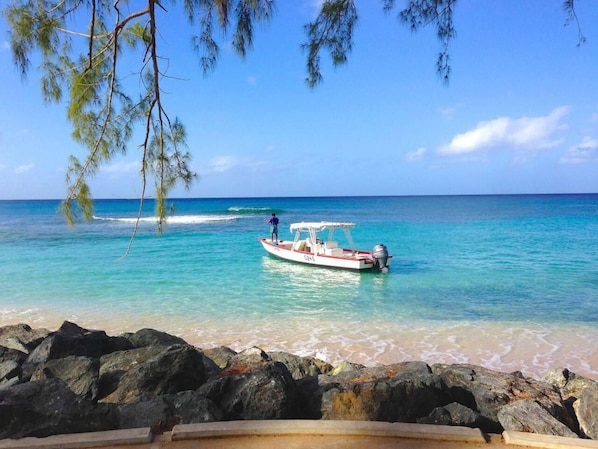 Apartment | Beach - Sungazer- Beach Club Apartment in Holetown (Holetown)