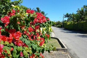 Apartment | Property grounds