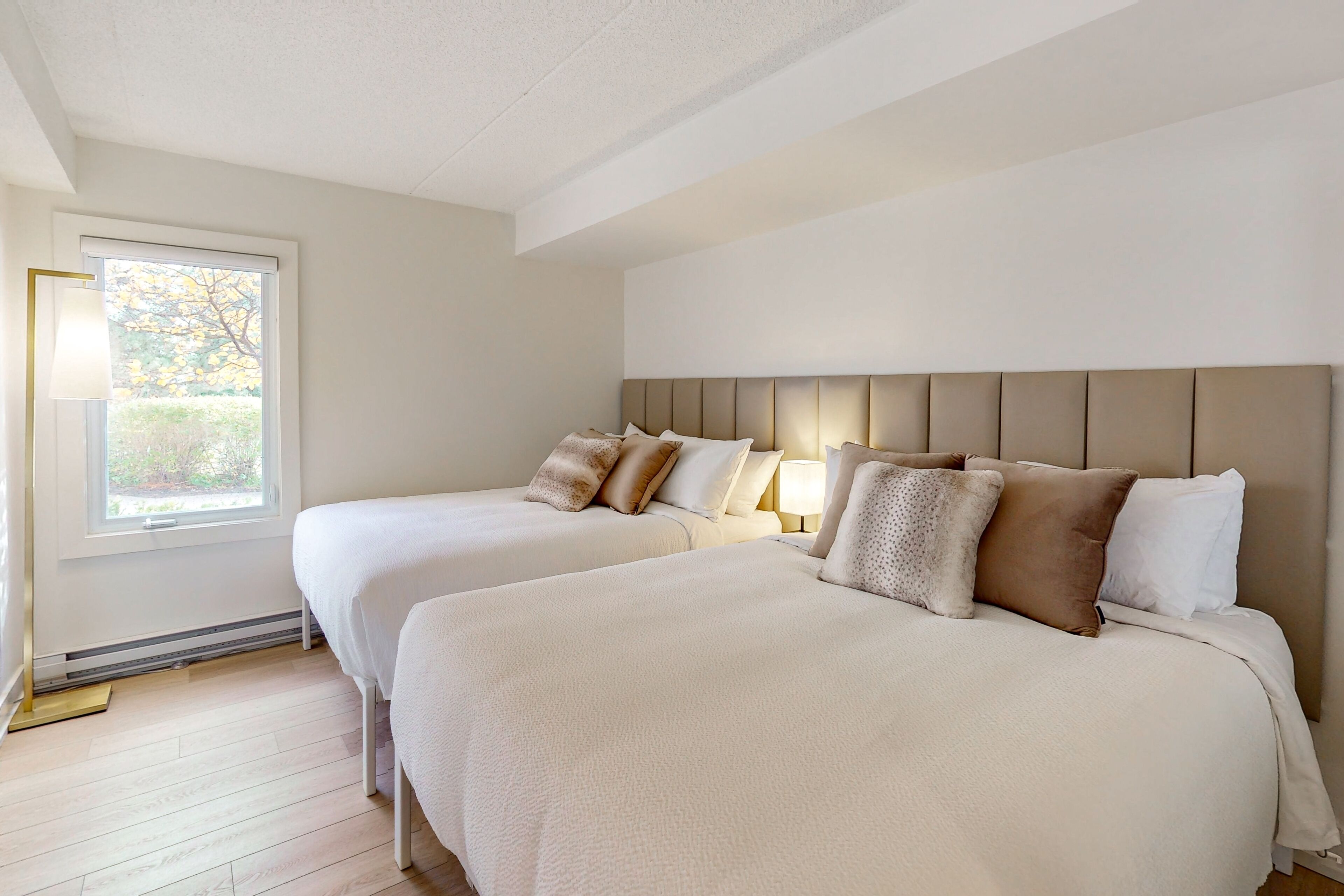 3 多间卧室、上网接入、床单