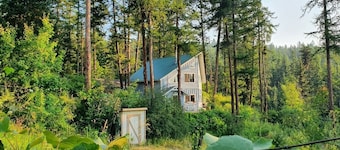 Charming house with orchard and pond 3 miles from Flathead Lake