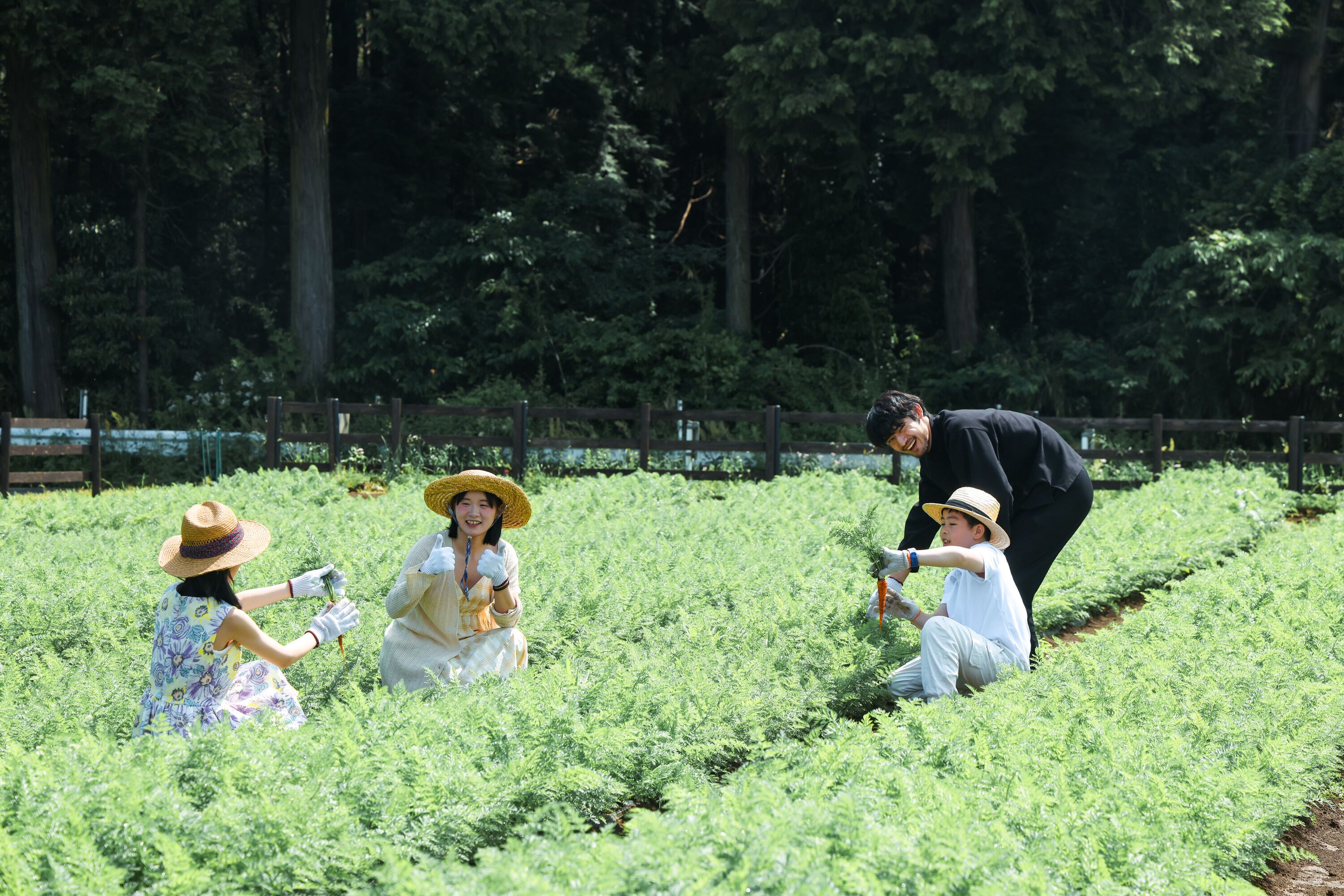 A group of people in a field with a wooden fence in the background.