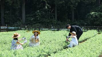 A group of people in a field with a wooden fence in the background.