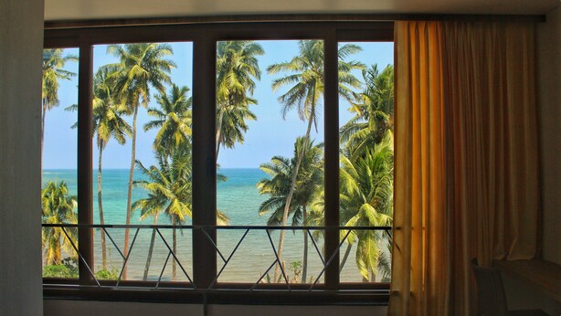 Una ventana con vistas a palmeras y al océano.