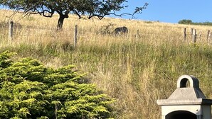 Eine grüne Wiese mit einem Baum, einem Zaun und einer Steinstruktur.