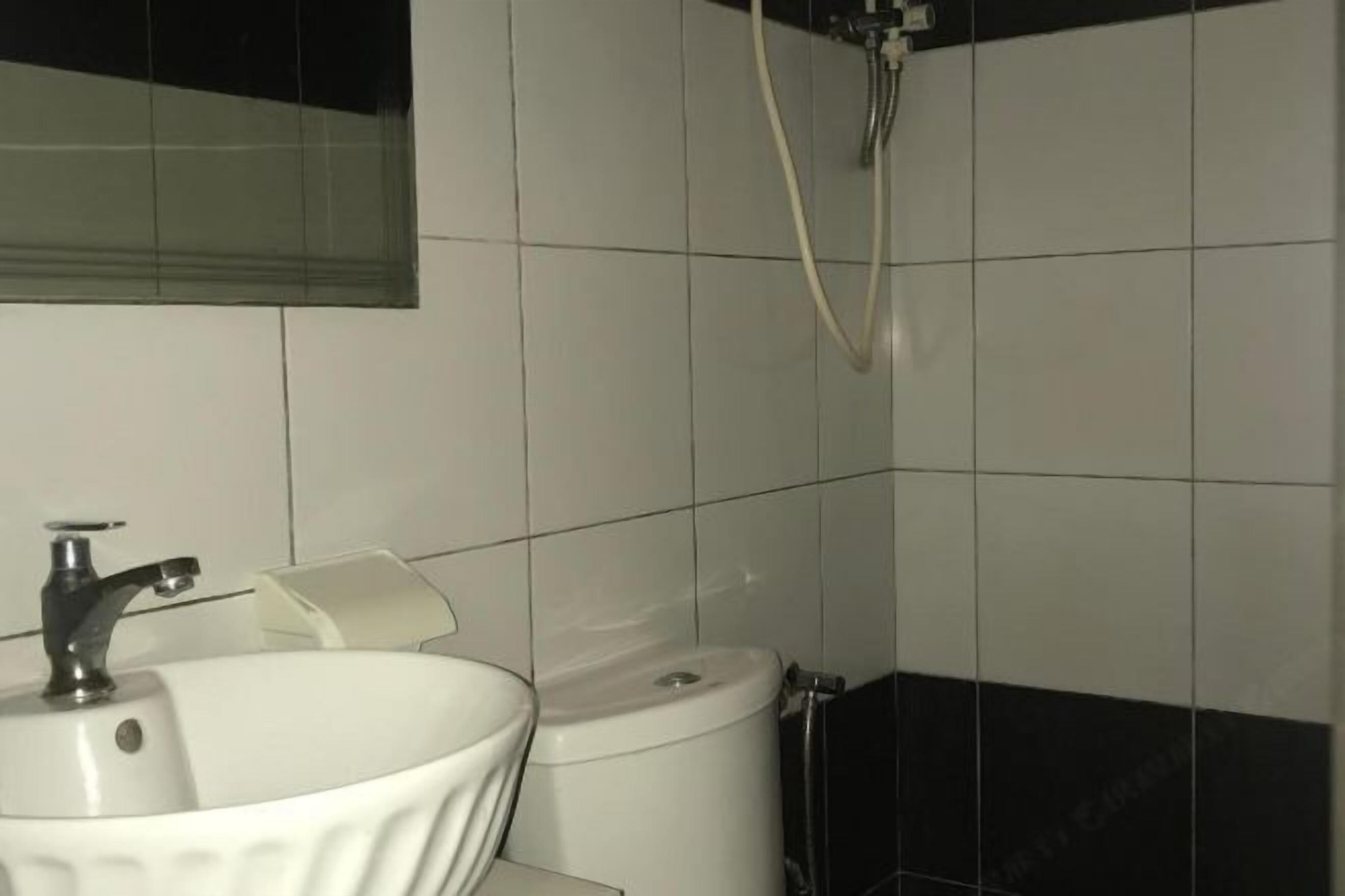 Shower, towels, toilet paper