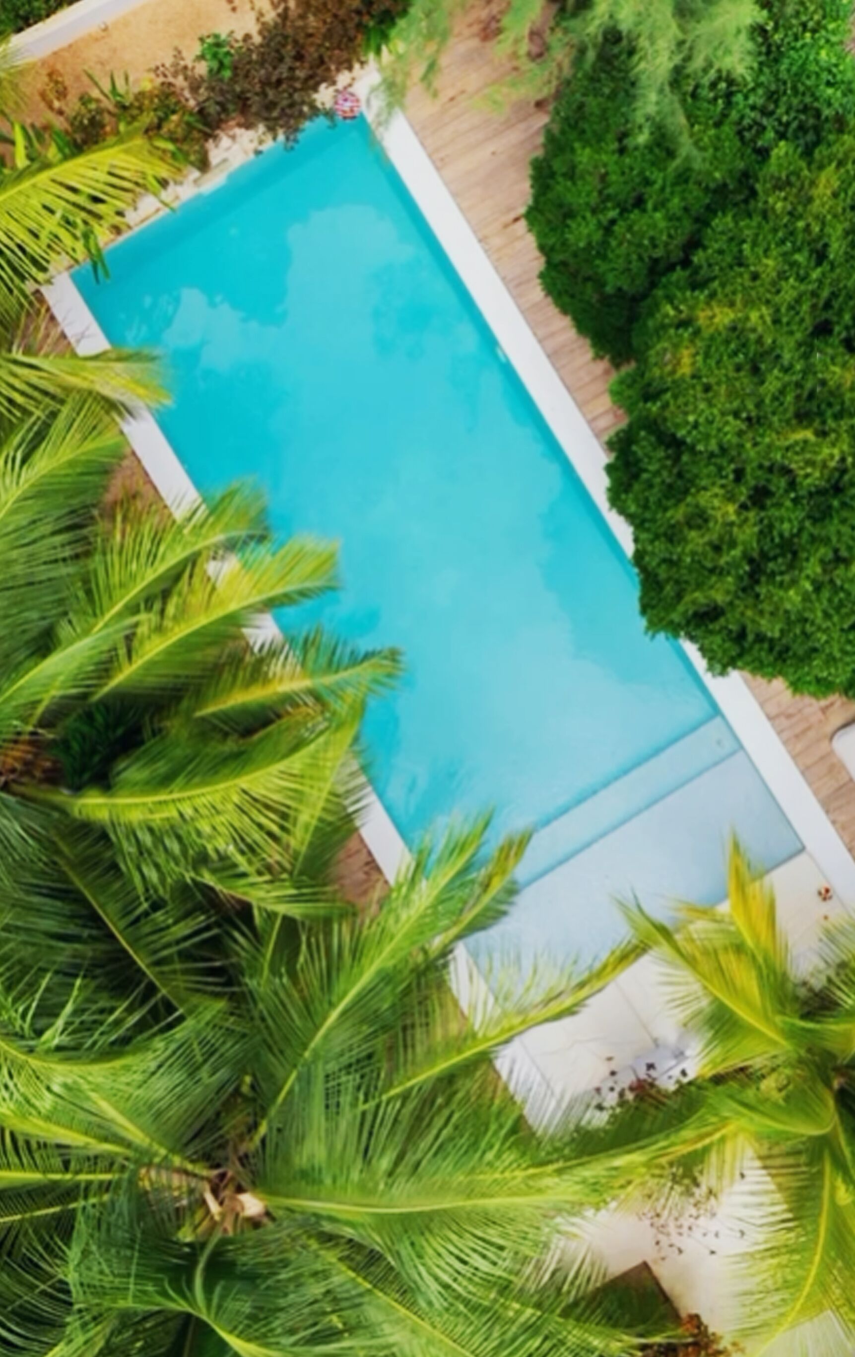 A rectangular swimming pool surrounded by lush greenery and a wooden deck.