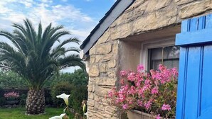 A stone building with a window featuring blue shutters, surrounded by lush greenery and a palm tree. - Ty Zazou - Maison d'amis et de famille (Lanvéoc)