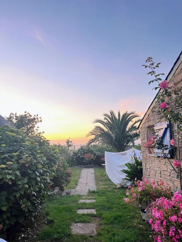 Área da propriedade