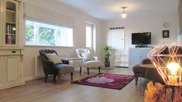 电视、DVD 播放器、书