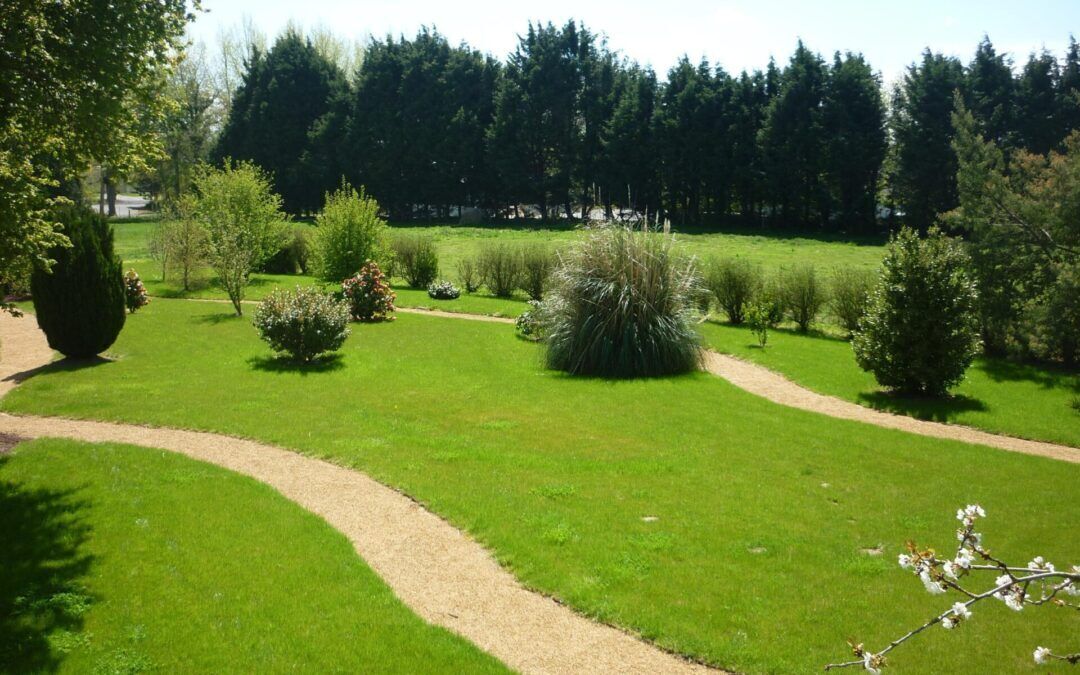A well-maintained garden with a variety of trees and shrubs, a gravel path, and a clear view of the surrounding forest.