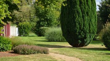 Un giardino curato con diversi arbusti e un alto albero conico.