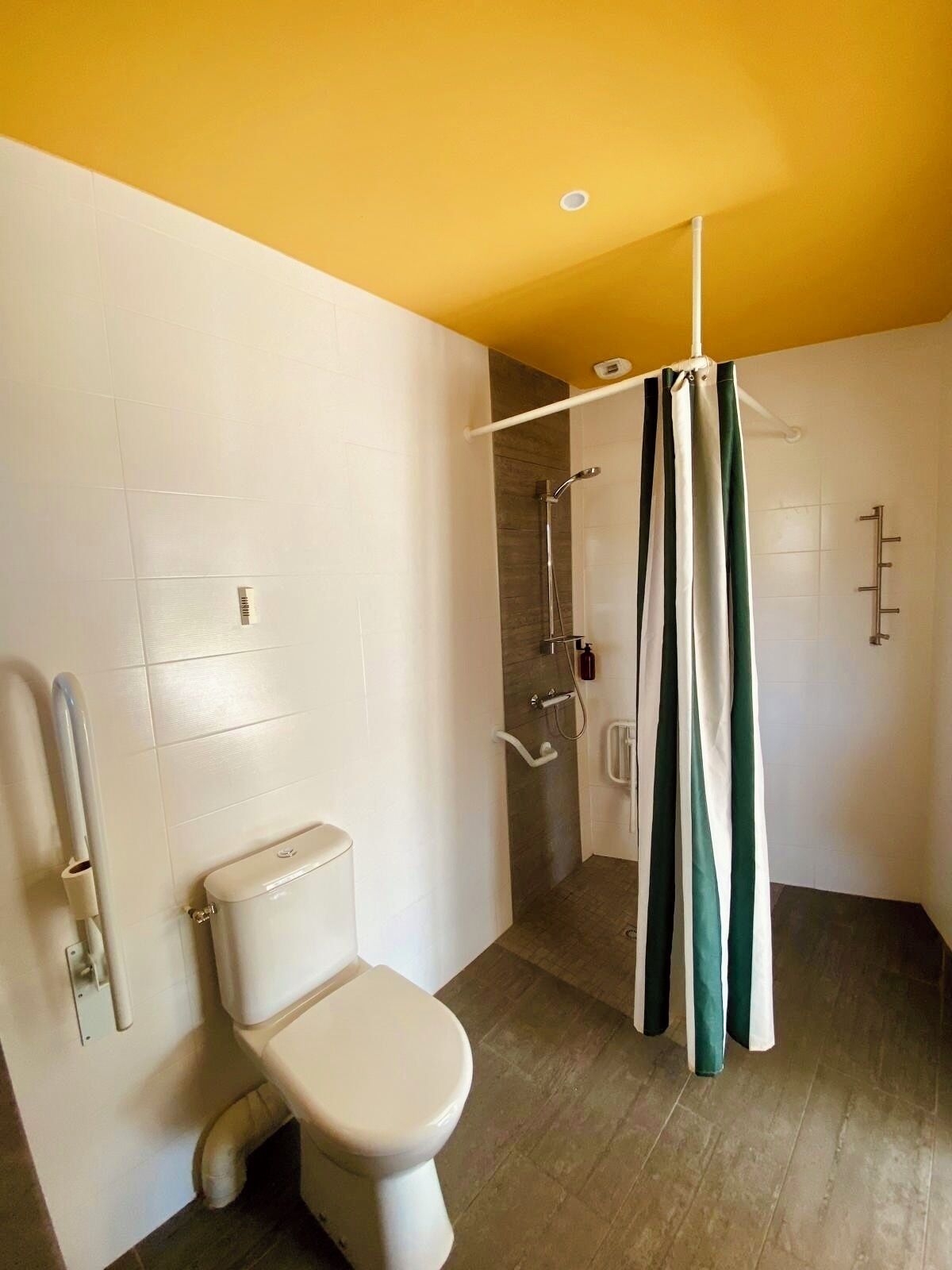 Une salle de bain équipée de toilettes, d’une douche avec rideau et d’une barre d’appui.