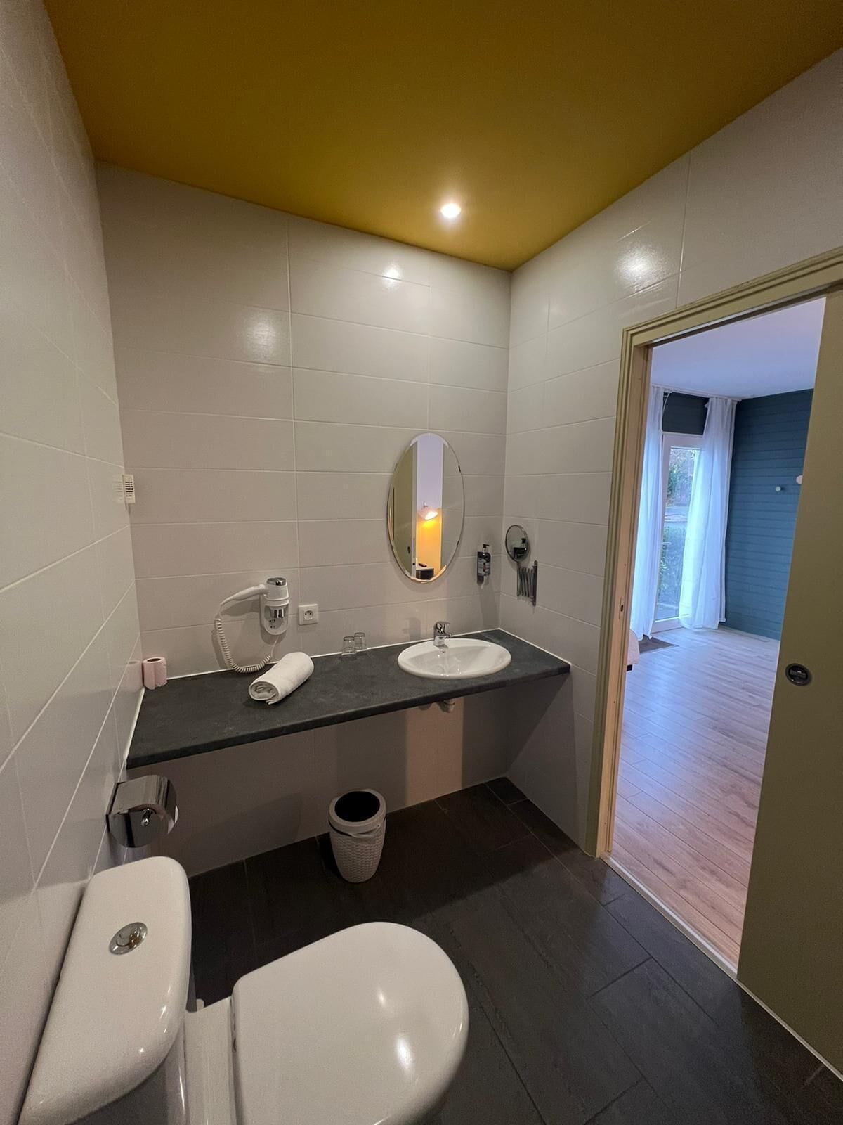 Une salle de bain avec des toilettes, un lavabo et un miroir. On y trouve une poubelle et un porte-serviettes. Les murs sont recouverts de carreaux et le sol est foncé.