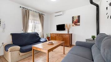 TV, fireplace, ping pong