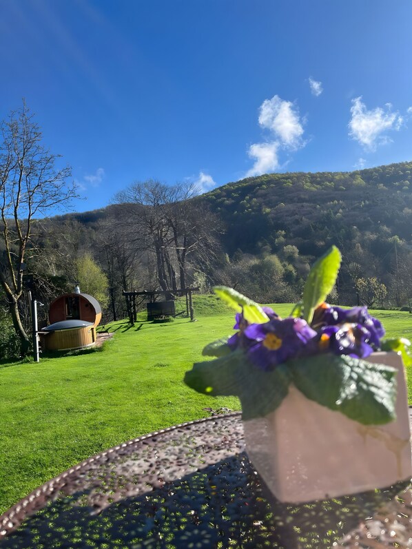 Overnattingsstedets uteområder