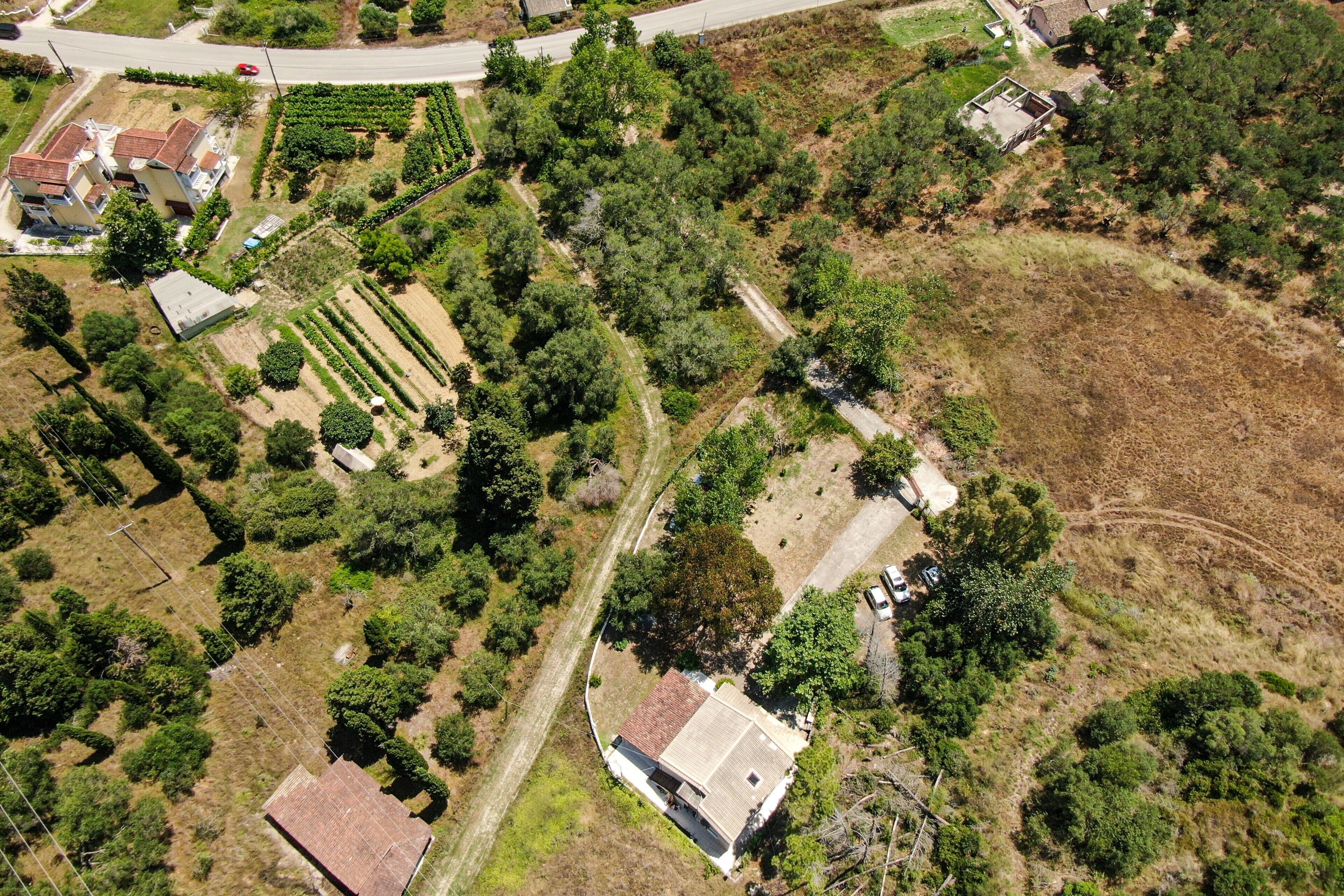 An aerial view of a residential area with houses, gardens, and a road.