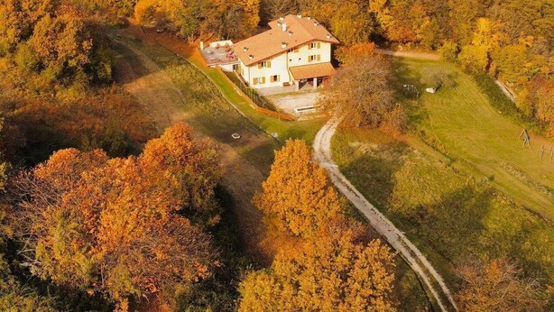 Uma casa de dois andares com telhado inclinado, cercada por um gramado bem cuidado e uma entrada com caminho sinuoso.