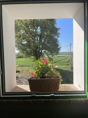 Interior - Villa 'All'ombra Della Quercia' with Private Pool, Wi-Fi and Air Conditioning (Fano)