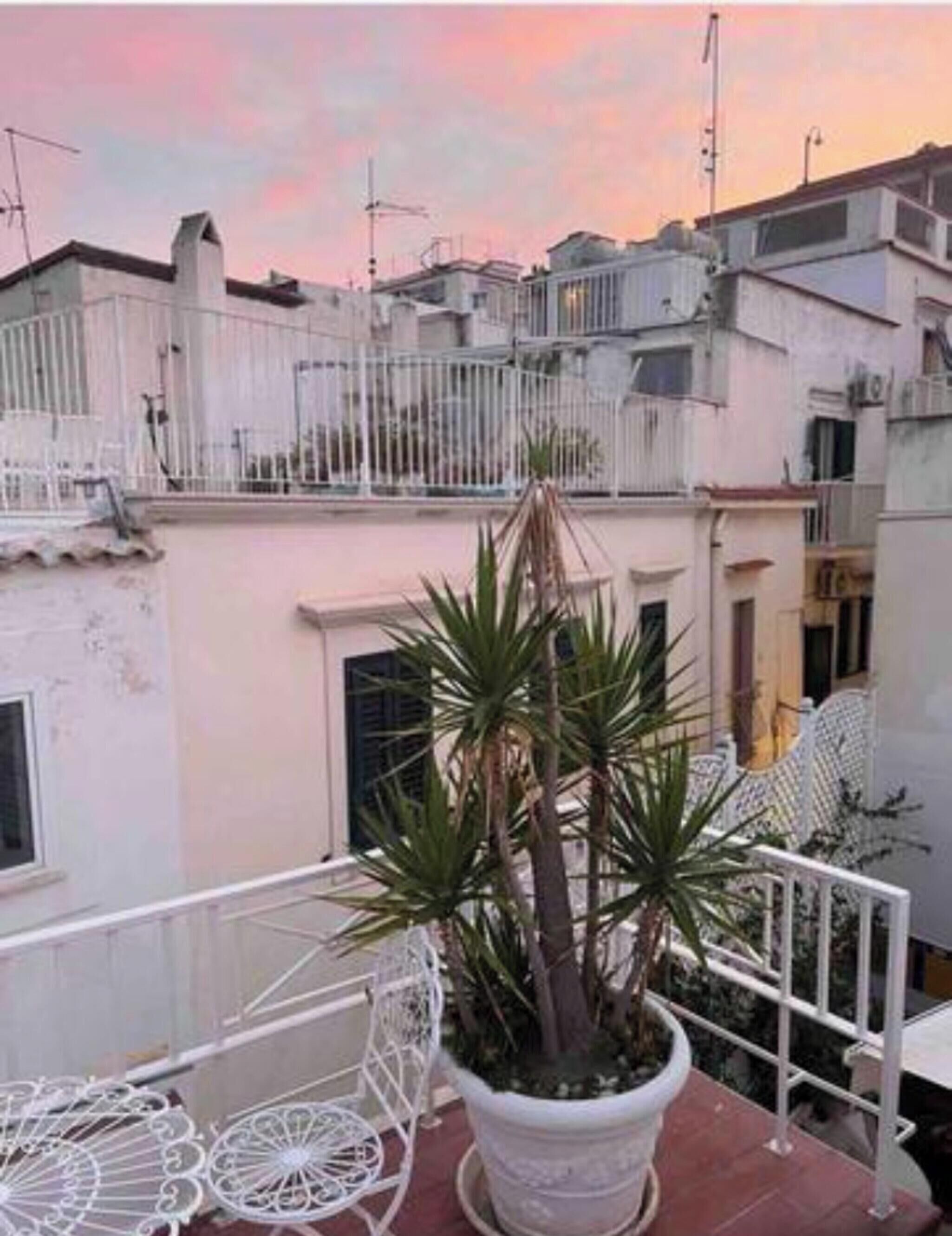 Un balcón con planta en maceta, barandillas de metal blanco y vistas a edificios cercanos.