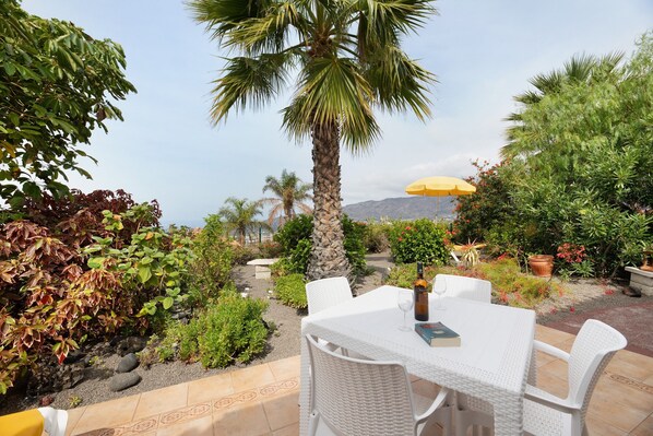 An outdoor patio with a table and chairs, surrounded by various plants and a palm tree.