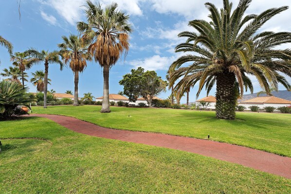 A well-maintained lawn with palm trees and a red pathway.