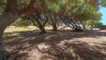 Parco della struttura