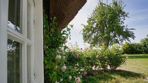 Ein Garten mit Rosen und einem Baum.