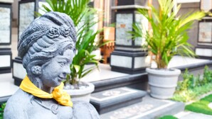 Een standbeeld van een vrouw die een boek vasthoudt, gelegen in een tuin met planten in potten en een gebouw met kolommen op de achtergrond.