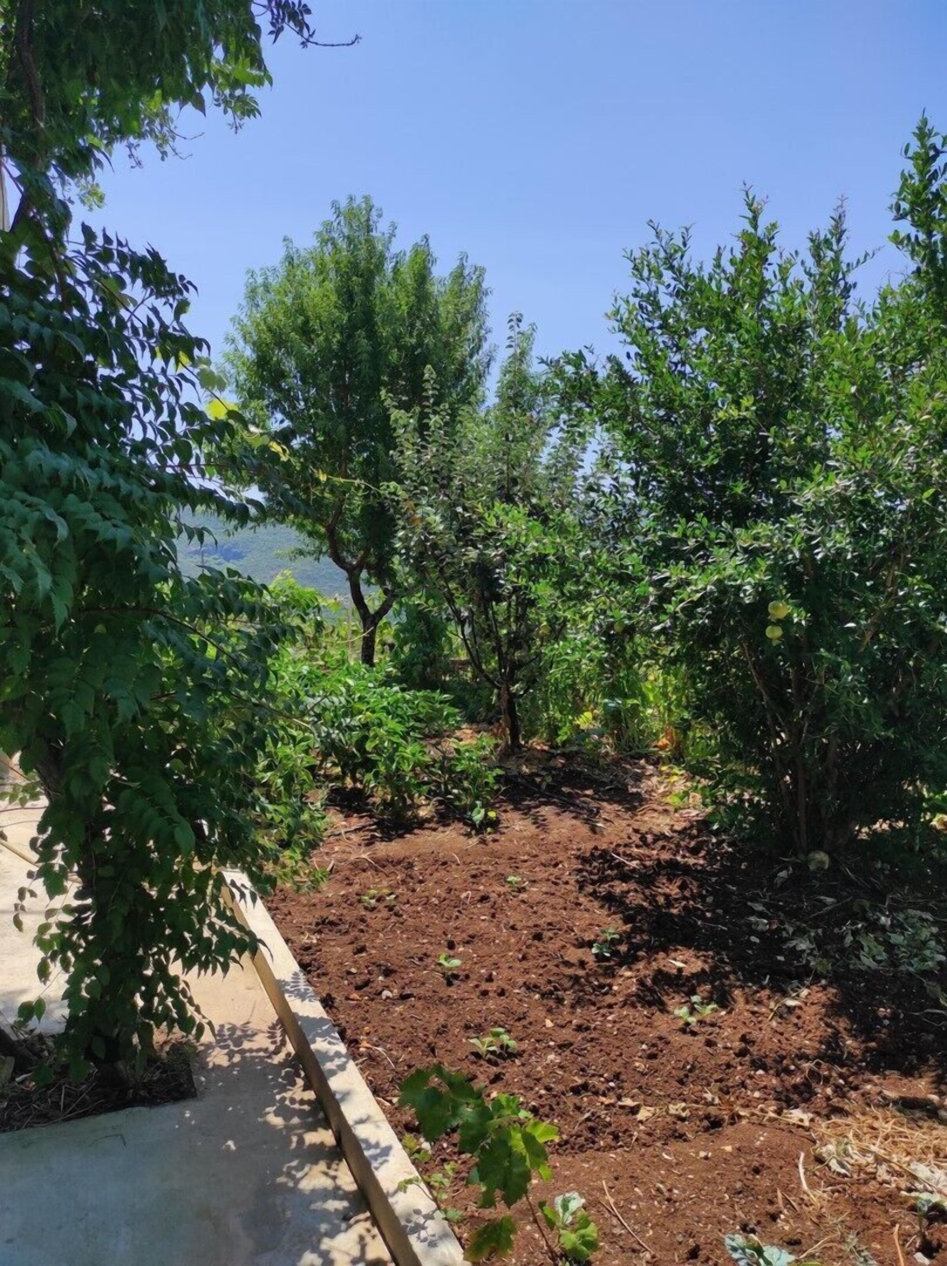 Àrea exterior de l'allotjament