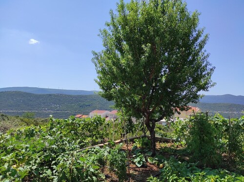 One bedroom apartment with private parking