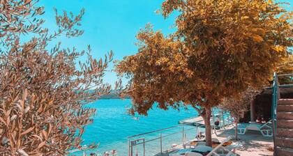 Villa RaguĆŸ with Garage and Private Beach / ThreeBedroom App with sea view 6