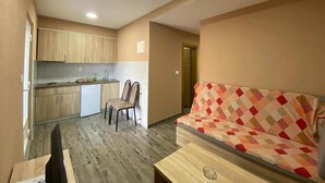 Un espacio habitable pequeño con kitchenette, un sofá y una zona de comedor.