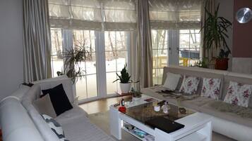 TV, fireplace, DVD player