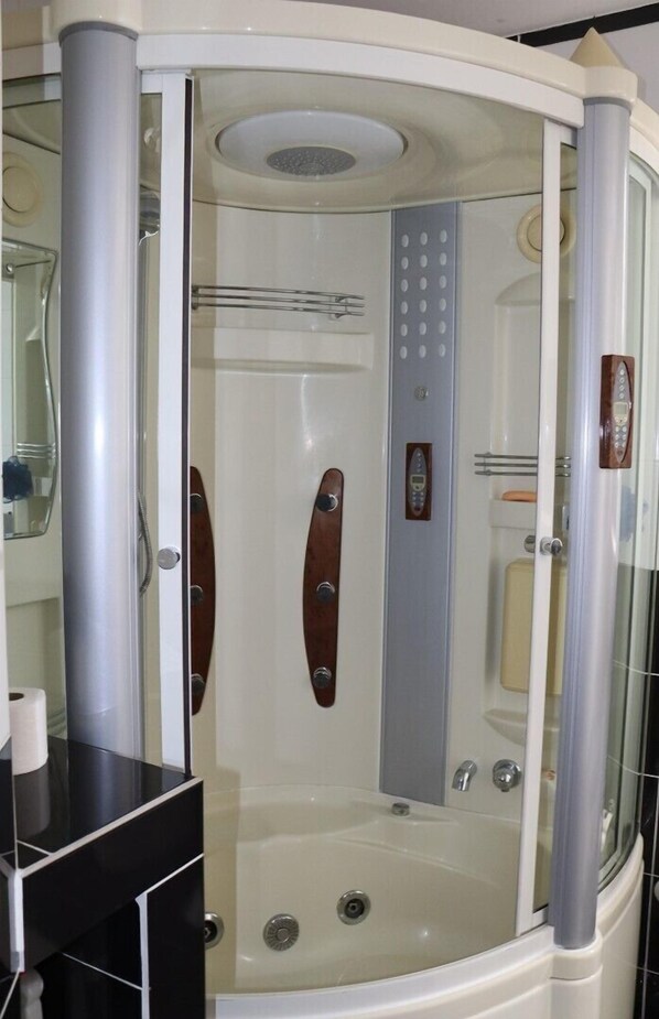 Shower, hair dryer, towels