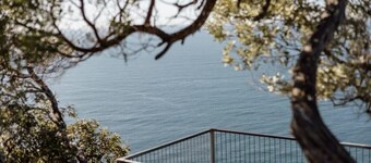 Sunset Vine at Wonganella Estate 1 by Tiny Away