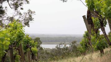 Un paysage naturel avec des arbres et une étendue d’eau à l’horizon.