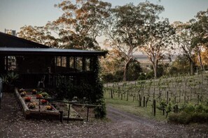 Áreas de la propiedad