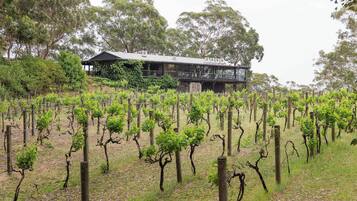 Un vignoble avec des rangées de vignes et un bâtiment doté d’un balcon donnant sur le vignoble.