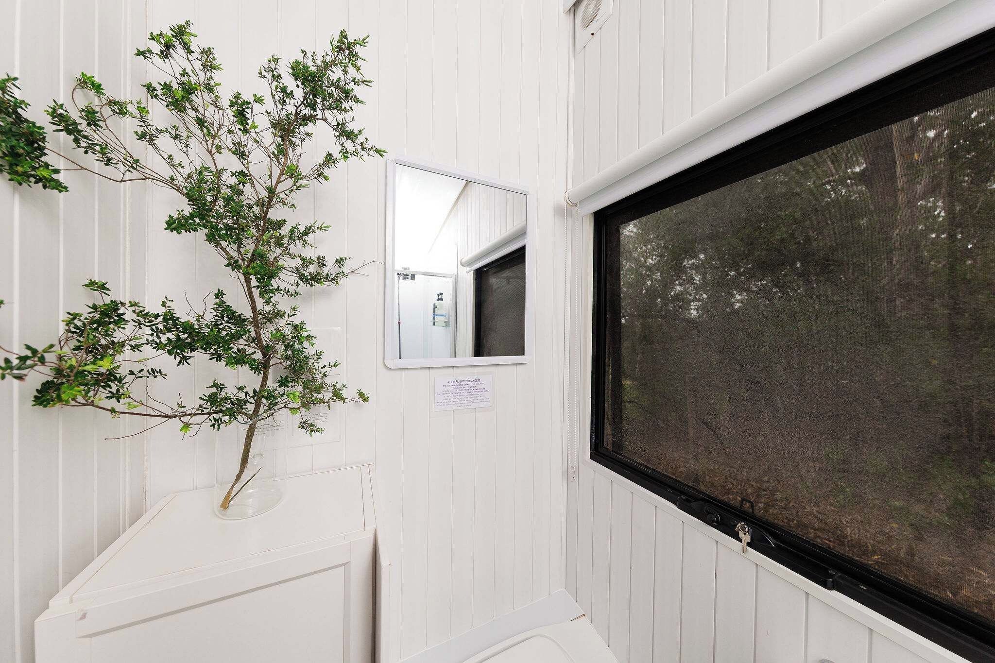 A room with a window, a mirror, and a plant.