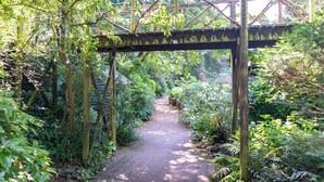Ein schmaler Pfad unter einer Holzbrücke, umgeben von dichtem Grün.