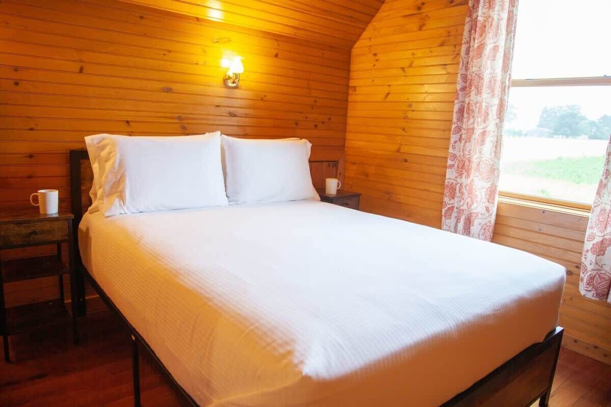 Una habitación de madera con una cama, una mesita de noche, una lámpara y una ventana con cortinas.