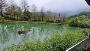 Un estanque tranquilo con un puente de madera, rodeado de exuberante follaje y árboles.