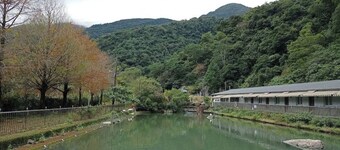 Yongle Ecological Hostel